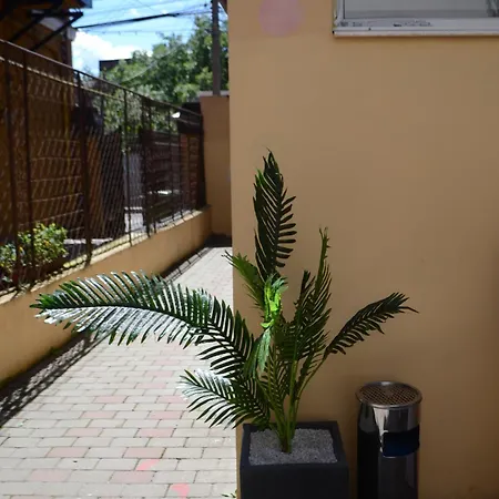 Eden Boutique - Garden & Spacious Apartament Cluj-Napoca