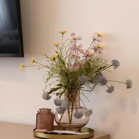 Eden Boutique - Garden & Spacious * Cluj-Napoca