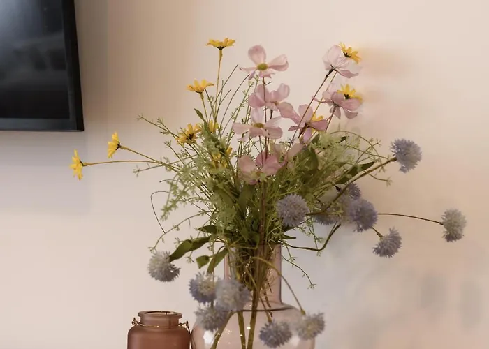 Eden Boutique - Garden & Spacious * Kluž